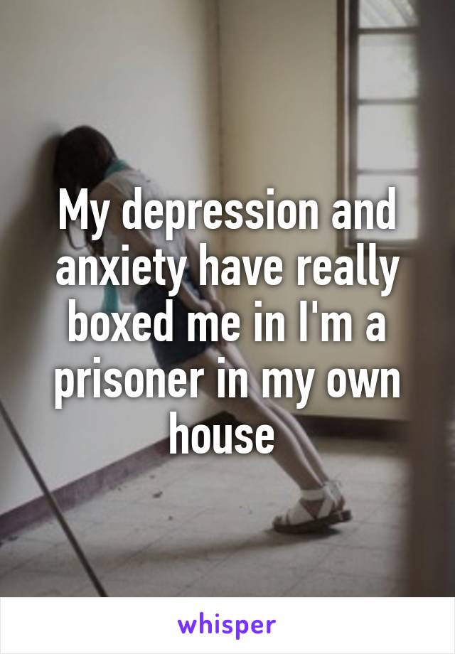 My depression and anxiety have really boxed me in I'm a prisoner in my own house 