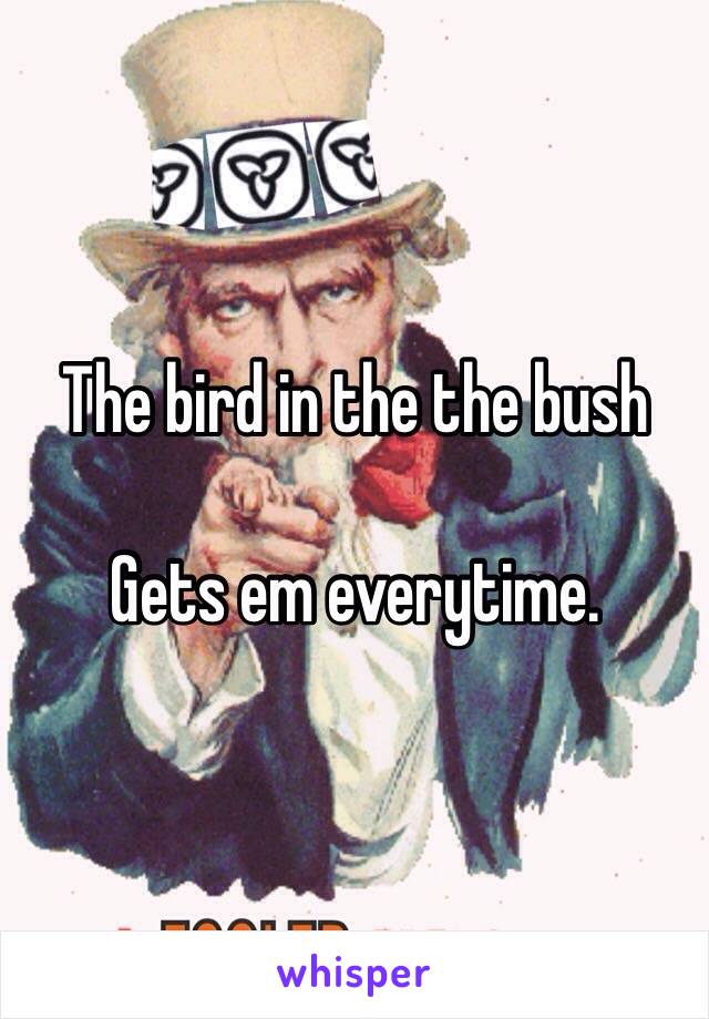 The bird in the the bush            

Gets em everytime.