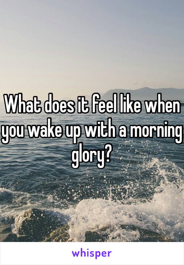 What does it feel like when you wake up with a morning glory? 