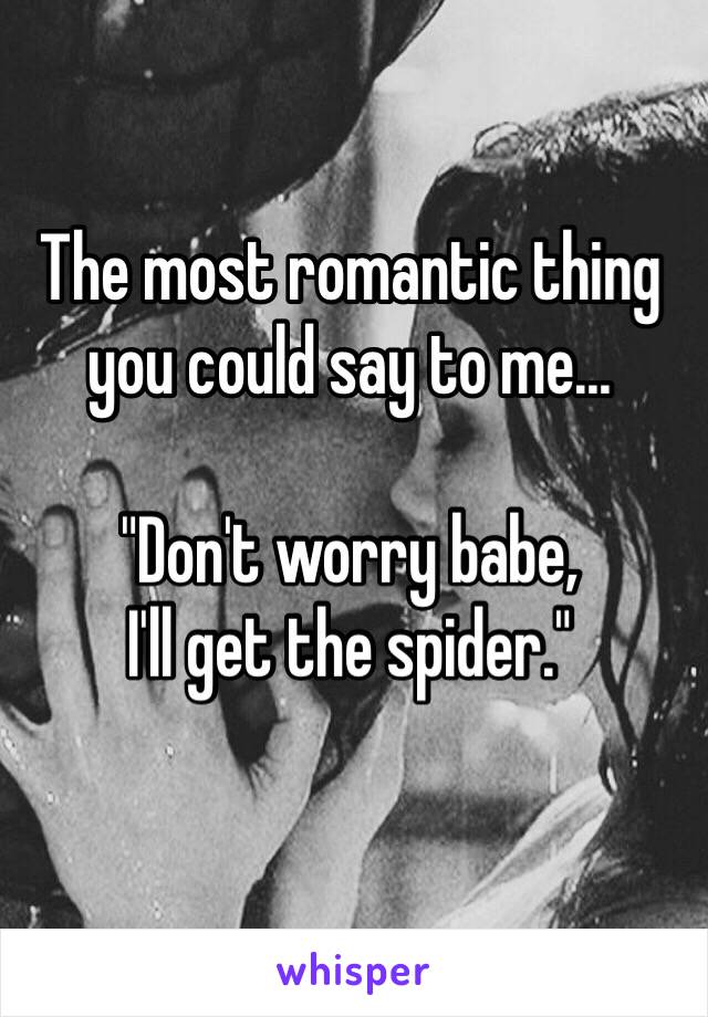 The most romantic thing you could say to me...

"Don't worry babe,
I'll get the spider."