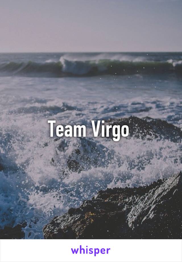 Team Virgo 