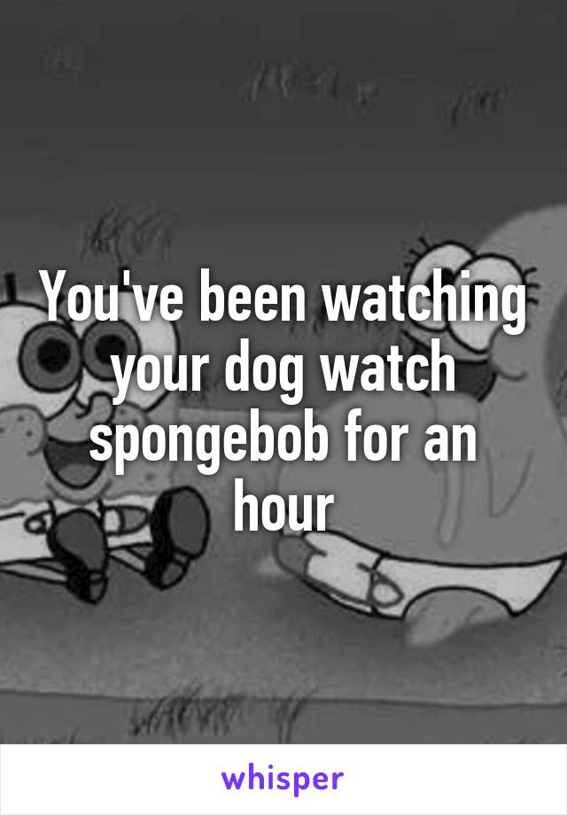 You've been watching your dog watch spongebob for an hour