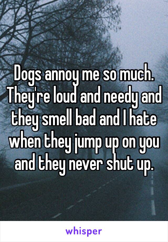 Dogs annoy me so much. They're loud and needy and they smell bad and I hate when they jump up on you and they never shut up. 