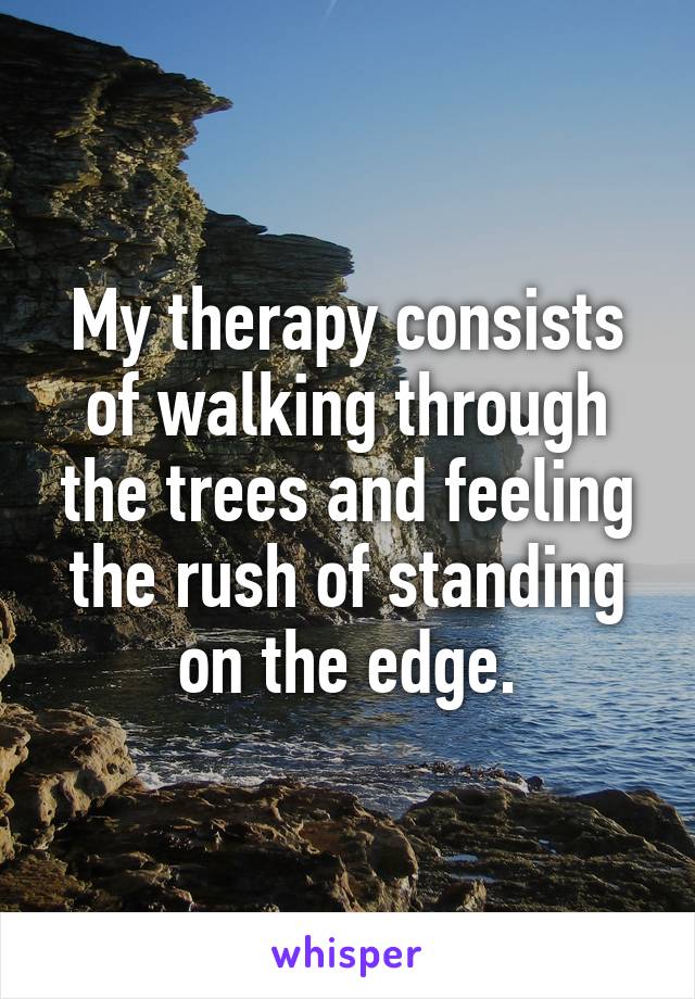 My therapy consists of walking through the trees and feeling the rush of standing on the edge.