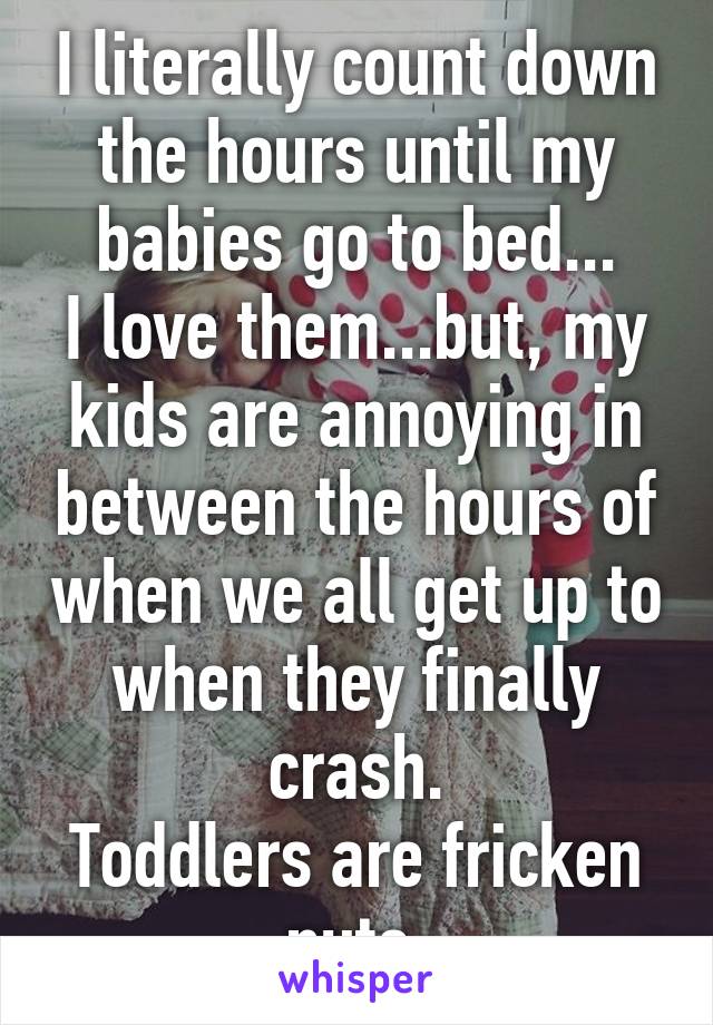 I literally count down the hours until my babies go to bed...
I love them...but, my kids are annoying in between the hours of when we all get up to when they finally crash.
Toddlers are fricken nuts.