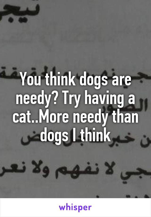 You think dogs are needy? Try having a cat..More needy than dogs I think