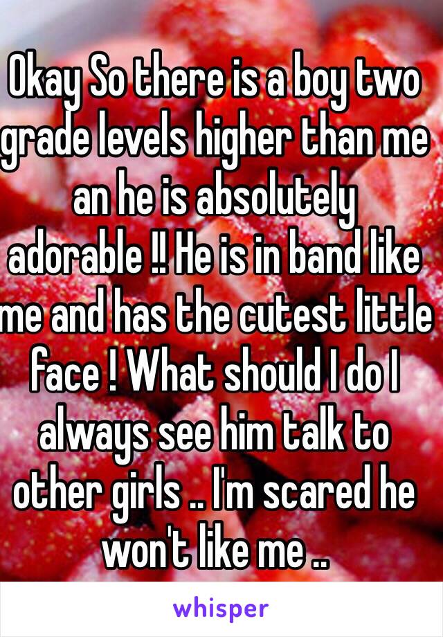 Okay So there is a boy two grade levels higher than me an he is absolutely adorable !! He is in band like me and has the cutest little face ! What should I do I always see him talk to other girls .. I'm scared he won't like me ..