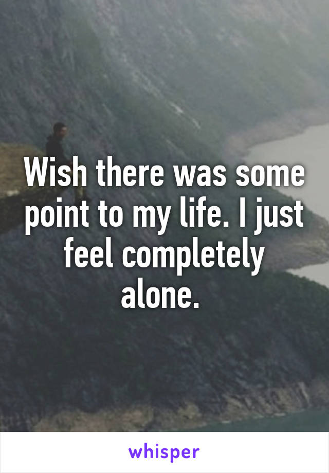 Wish there was some point to my life. I just feel completely alone. 