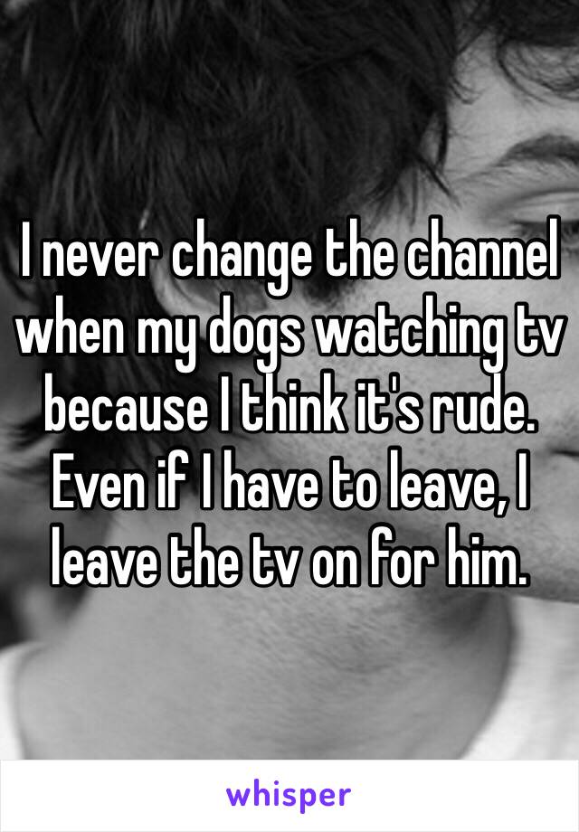 I never change the channel when my dogs watching tv because I think it's rude.
Even if I have to leave, I leave the tv on for him.