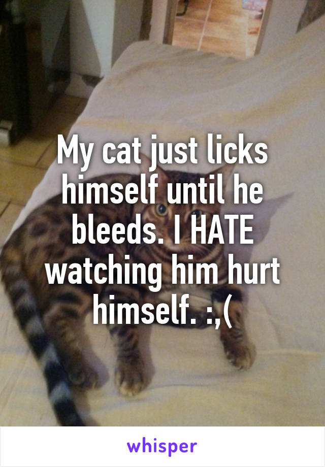 My cat just licks himself until he bleeds. I HATE watching him hurt himself. :,(