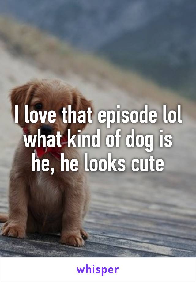 I love that episode lol what kind of dog is he, he looks cute