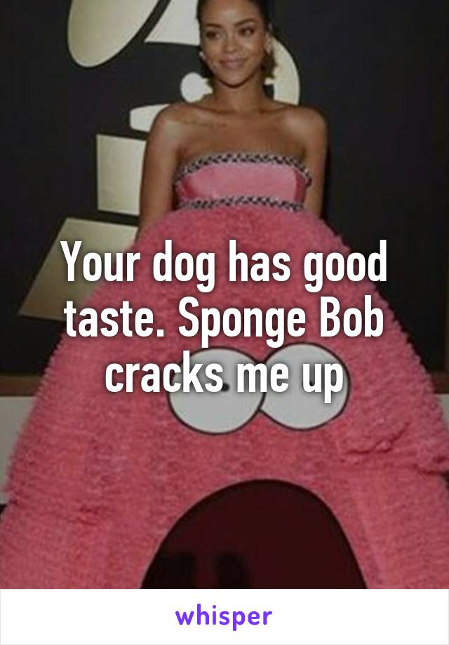 Your dog has good taste. Sponge Bob cracks me up