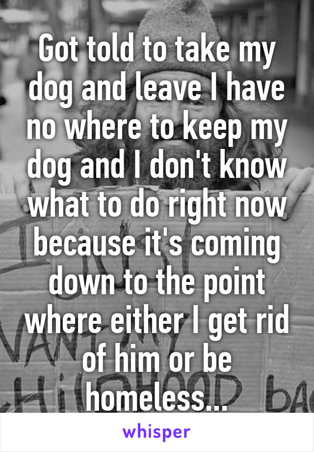 Got told to take my dog and leave I have no where to keep my dog and I don't know what to do right now because it's coming down to the point where either I get rid of him or be homeless...