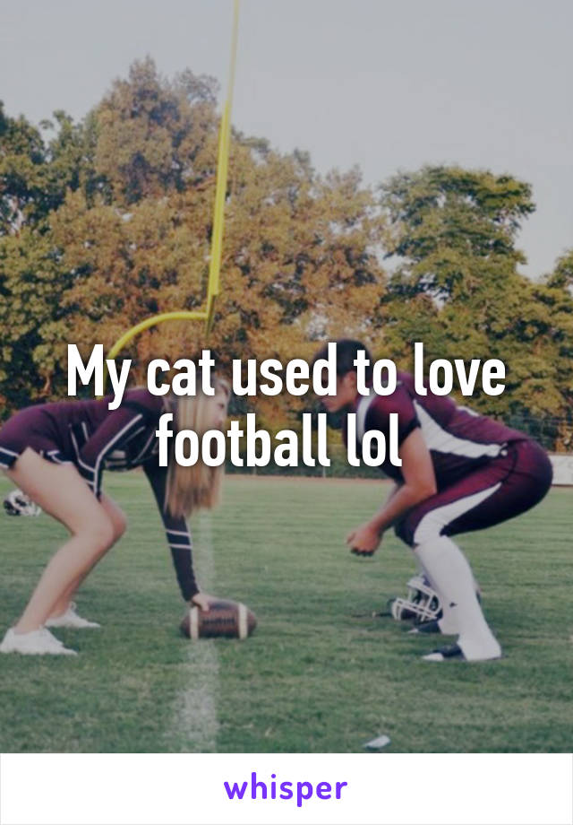 My cat used to love football lol 