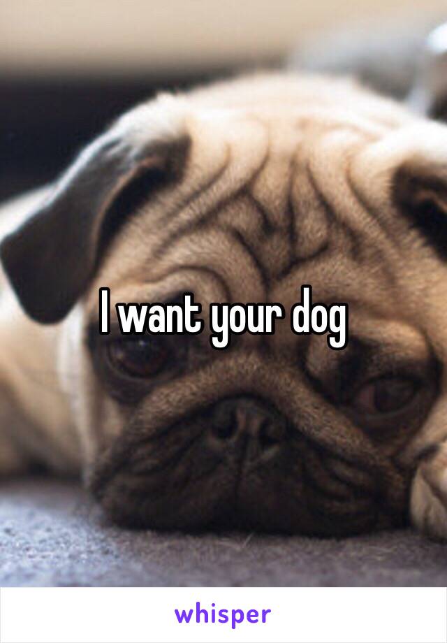 I want your dog