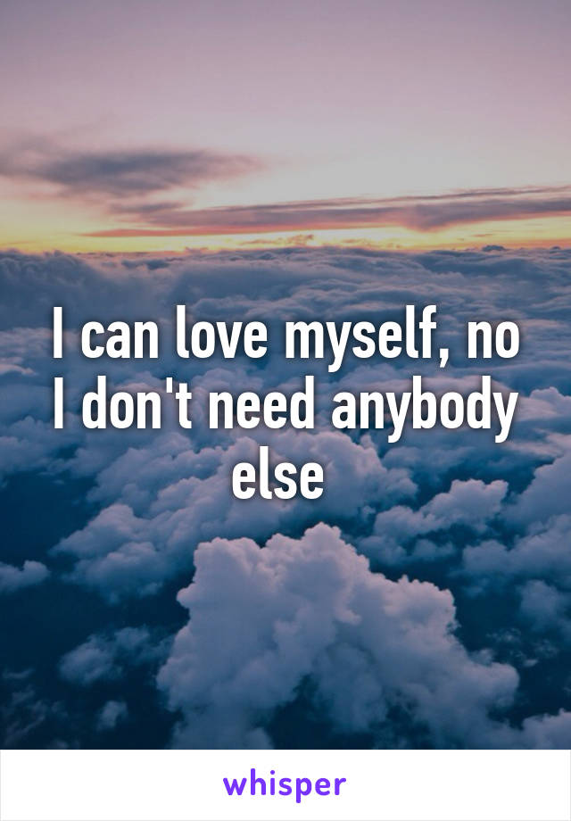 I can love myself, no I don't need anybody else 