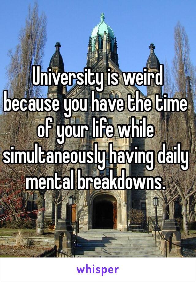  University is weird because you have the time of your life while simultaneously having daily mental breakdowns.