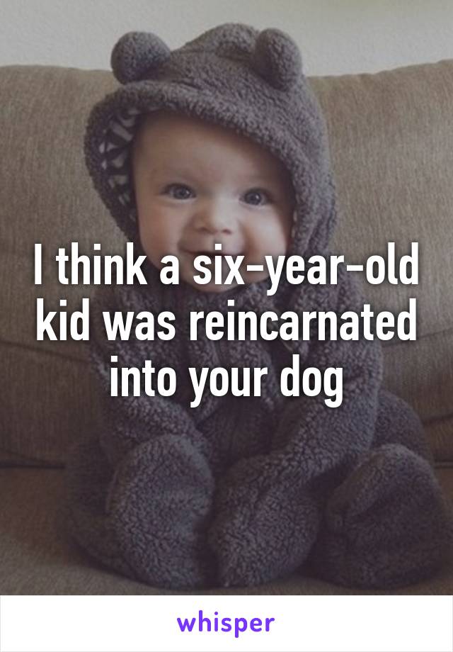 I think a six-year-old kid was reincarnated into your dog