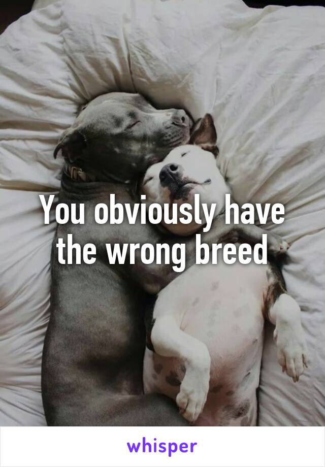 You obviously have the wrong breed