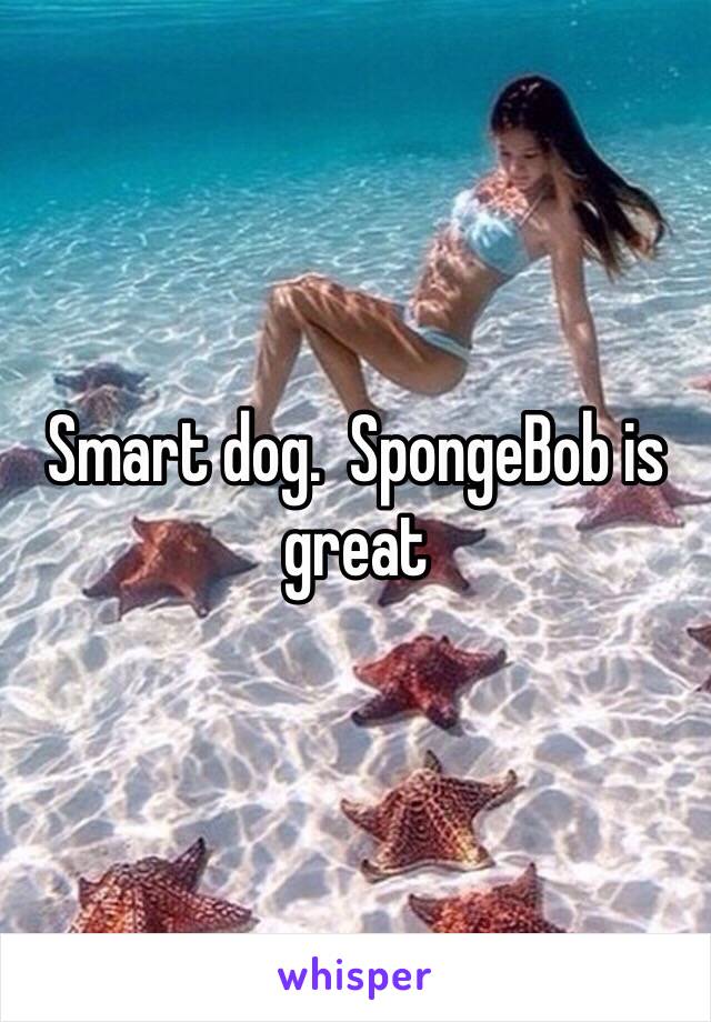 Smart dog.  SpongeBob is great