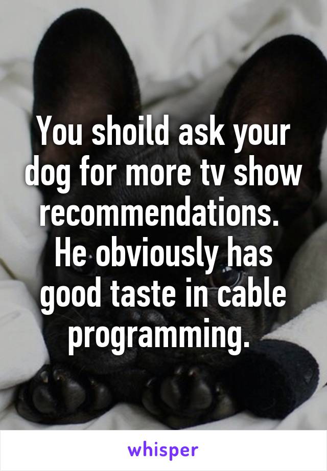 You shoild ask your dog for more tv show recommendations.  He obviously has good taste in cable programming. 