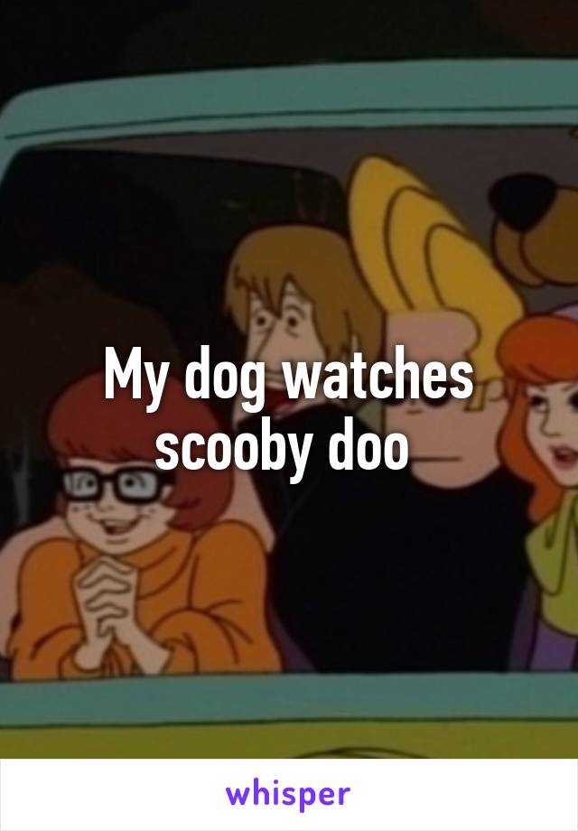 My dog watches scooby doo 