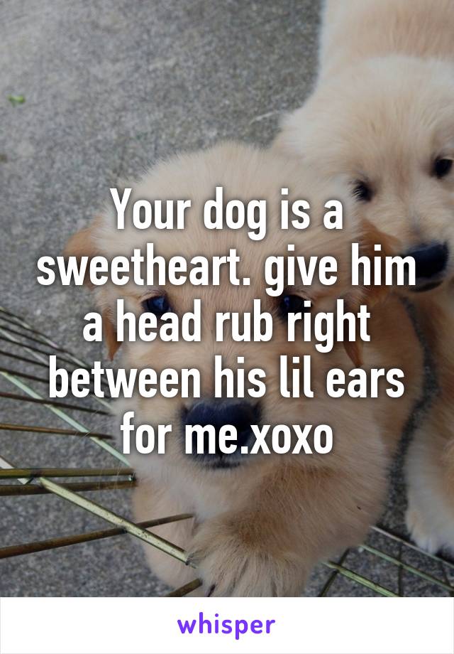 Your dog is a sweetheart. give him a head rub right between his lil ears for me.xoxo