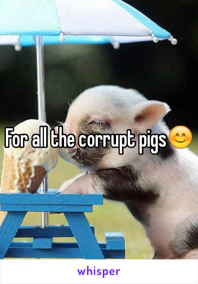 For all the corrupt pigs😊