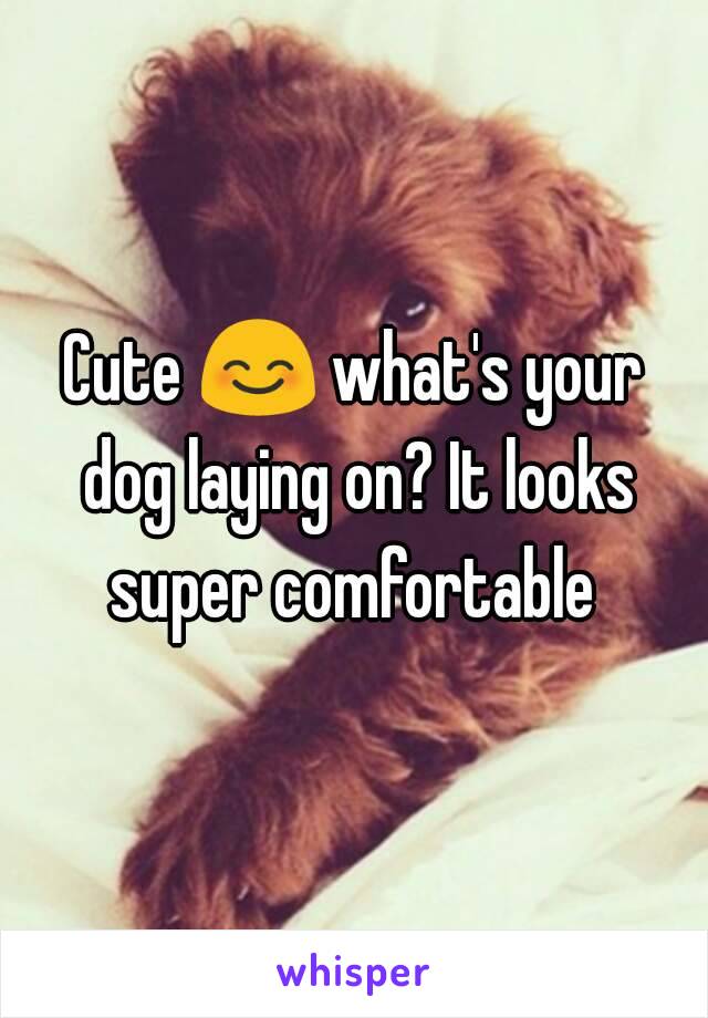 Cute 😊 what's your dog laying on? It looks super comfortable 