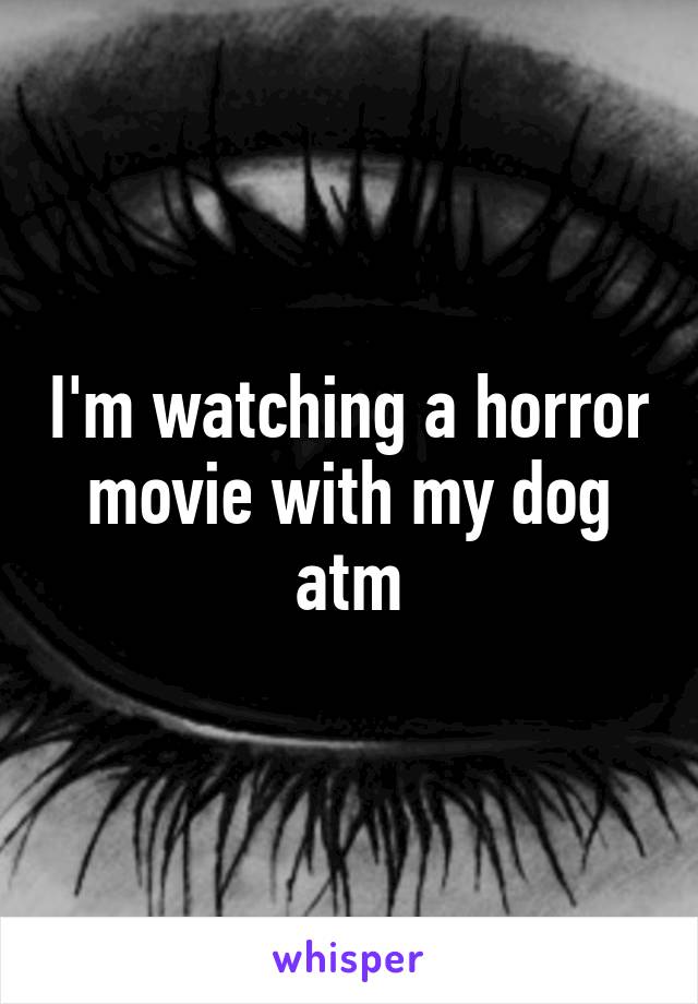 I'm watching a horror movie with my dog atm