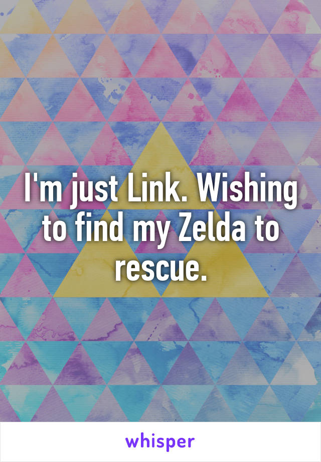 I'm just Link. Wishing to find my Zelda to rescue.