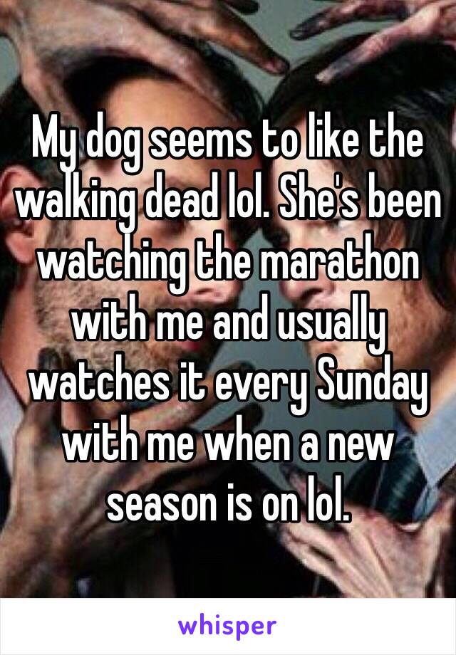 My dog seems to like the walking dead lol. She's been watching the marathon with me and usually watches it every Sunday with me when a new season is on lol.