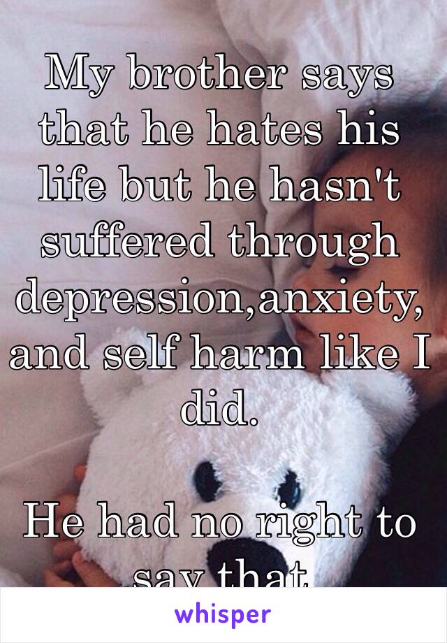 My brother says that he hates his life but he hasn't suffered through depression,anxiety, and self harm like I did.

He had no right to say that 