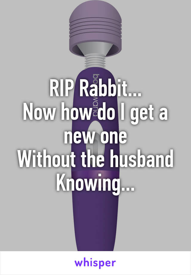 RIP Rabbit...
Now how do I get a new one
Without the husband
Knowing...