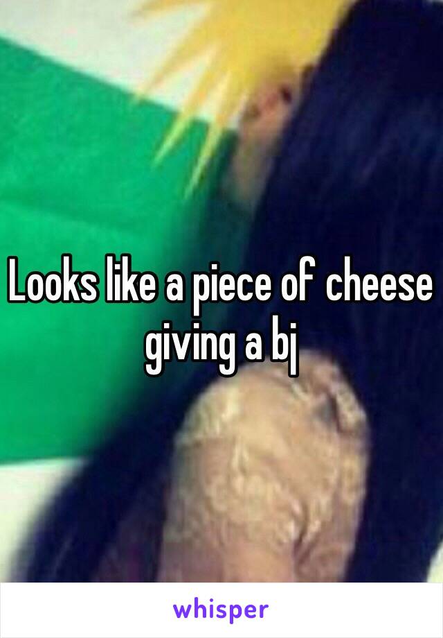 Looks like a piece of cheese giving a bj