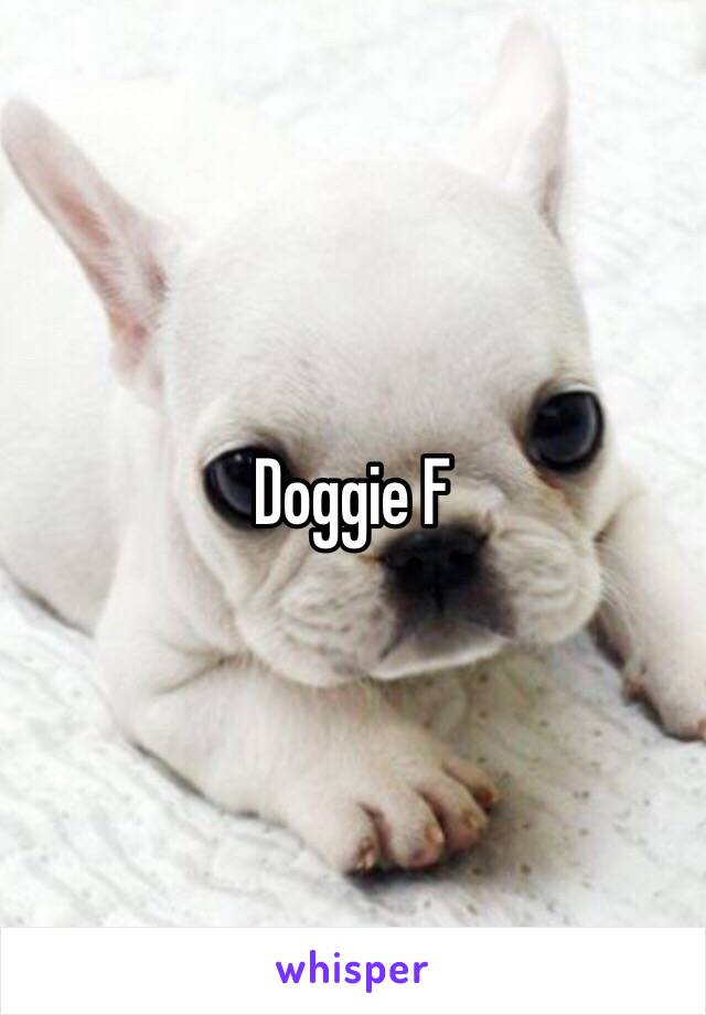 Doggie F