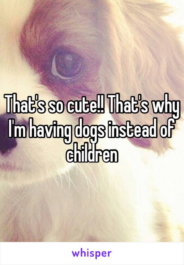 That's so cute!! That's why I'm having dogs instead of children 