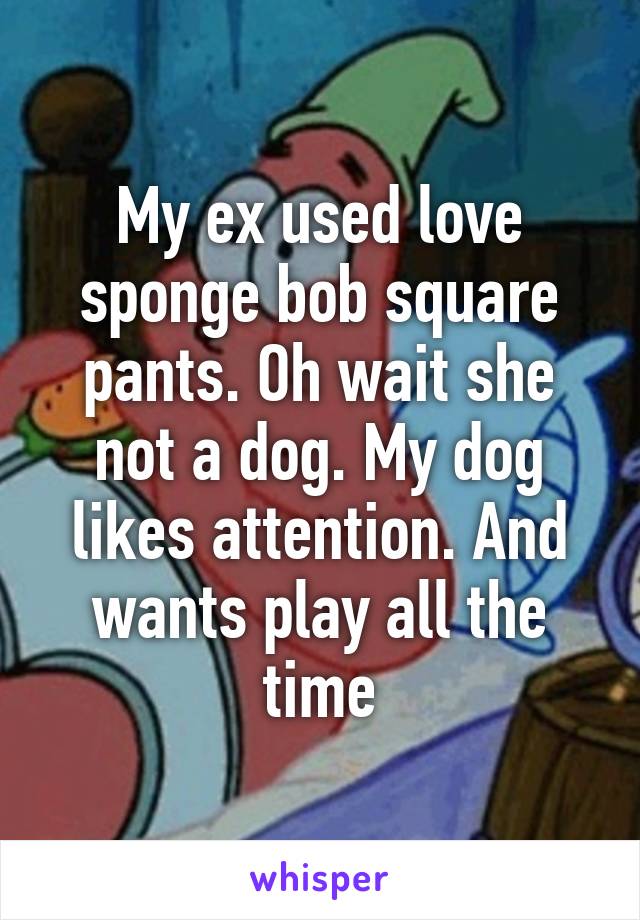 My ex used love sponge bob square pants. Oh wait she not a dog. My dog likes attention. And wants play all the time