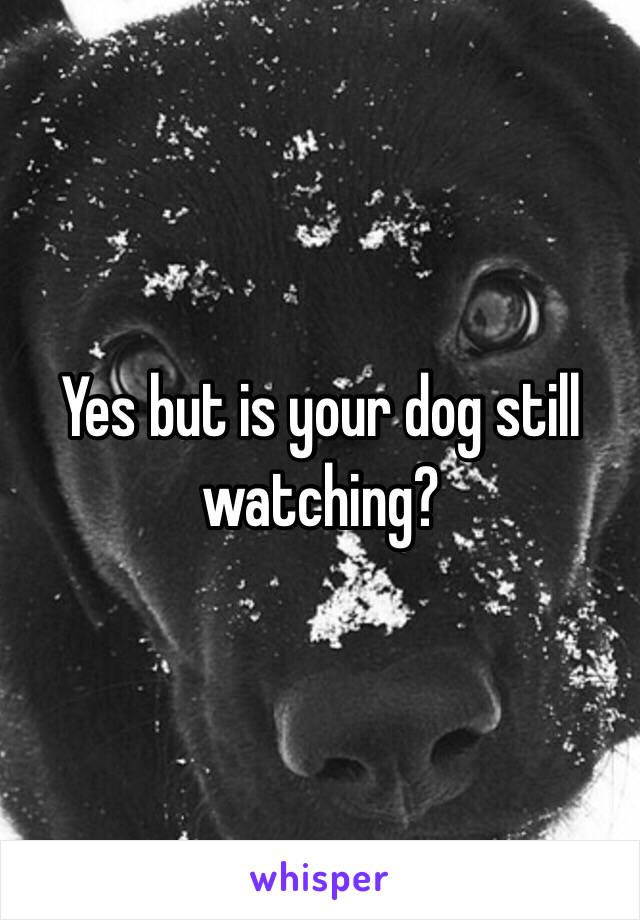 Yes but is your dog still watching?