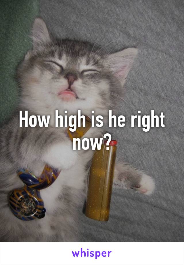 How high is he right now?