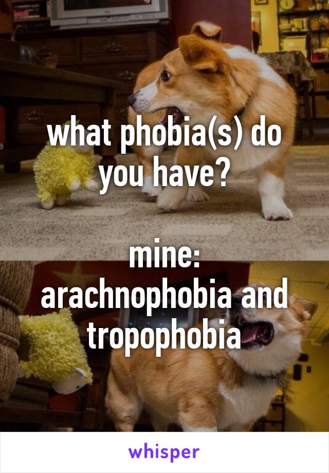 what phobia(s) do you have?

mine: arachnophobia and tropophobia