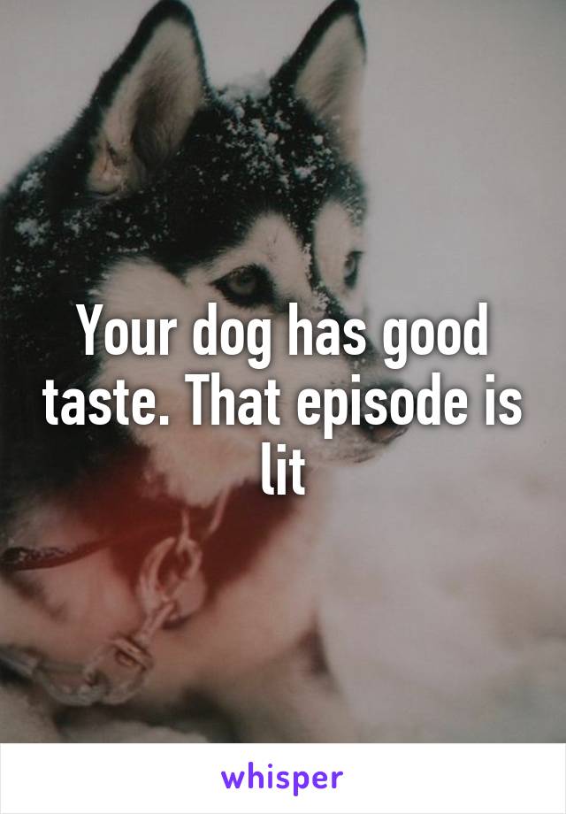 Your dog has good taste. That episode is lit