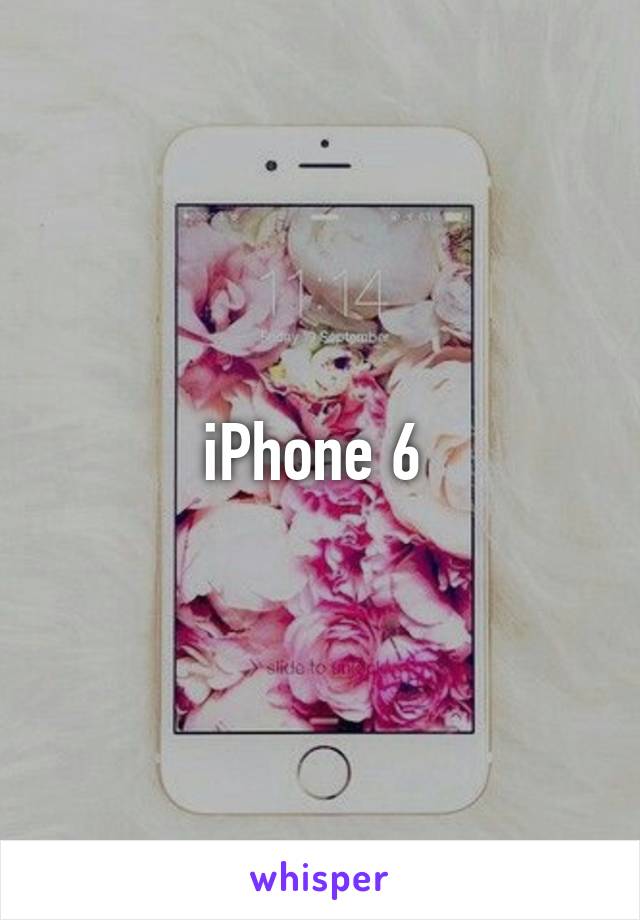 iPhone 6 