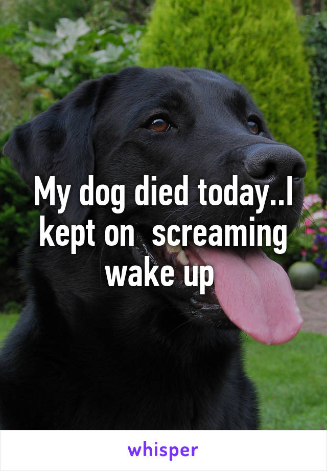My dog died today..I kept on  screaming wake up 