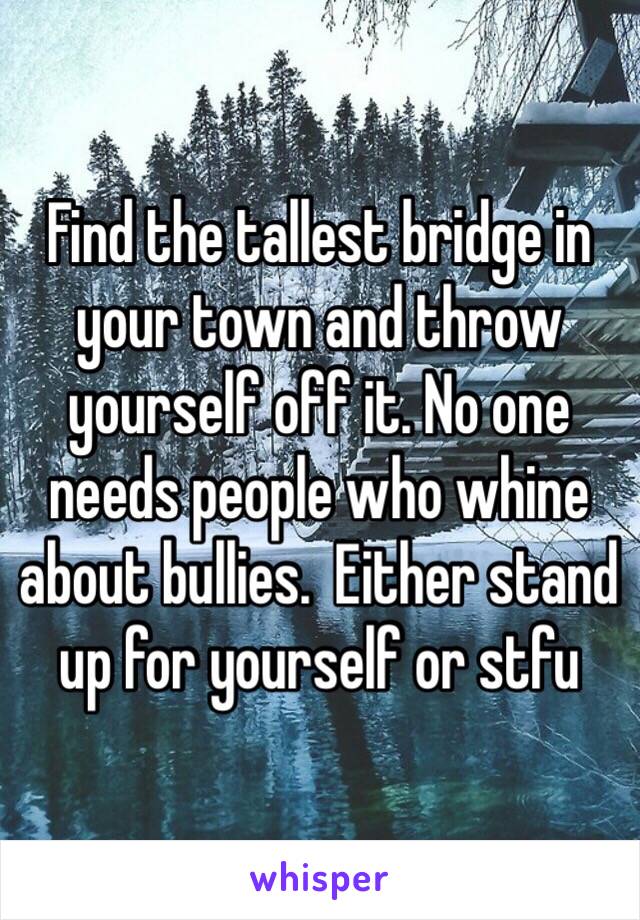 Find the tallest bridge in your town and throw yourself off it. No one needs people who whine about bullies.  Either stand up for yourself or stfu