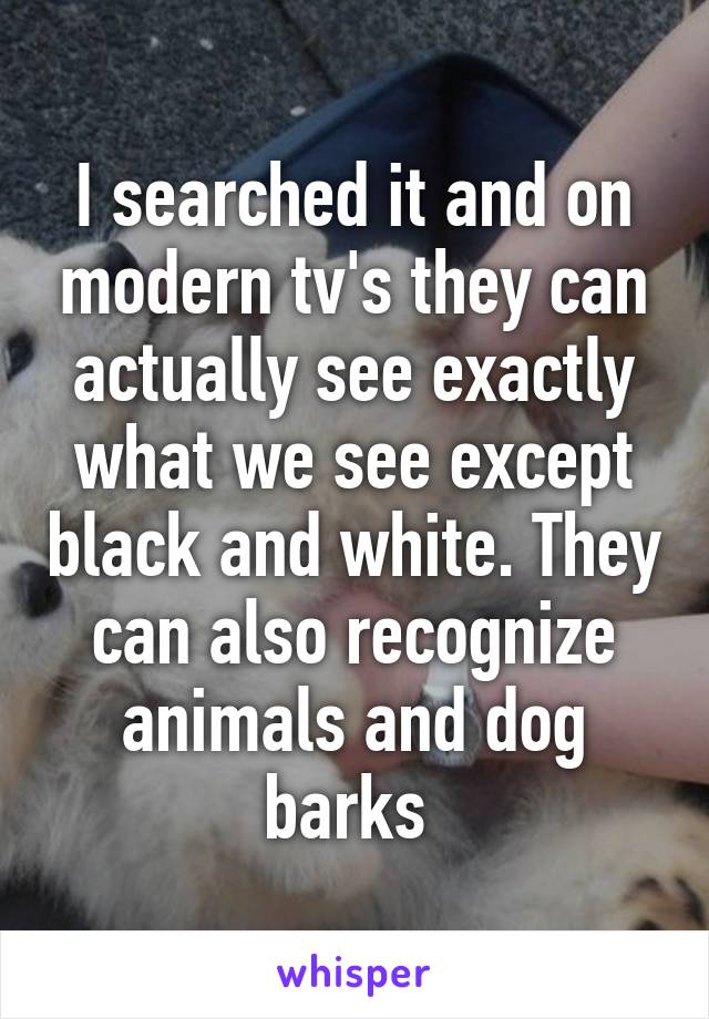 I searched it and on modern tv's they can actually see exactly what we see except black and white. They can also recognize animals and dog barks 