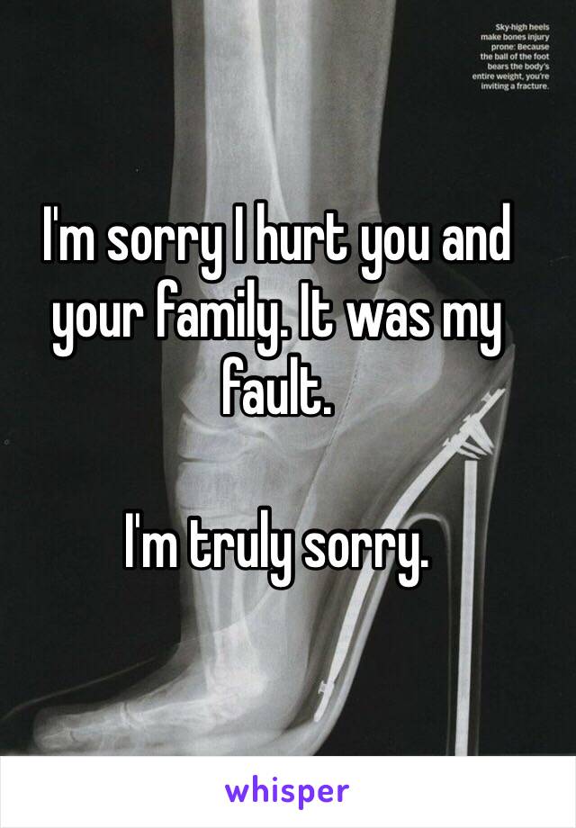 I'm sorry I hurt you and your family. It was my fault. 

I'm truly sorry. 