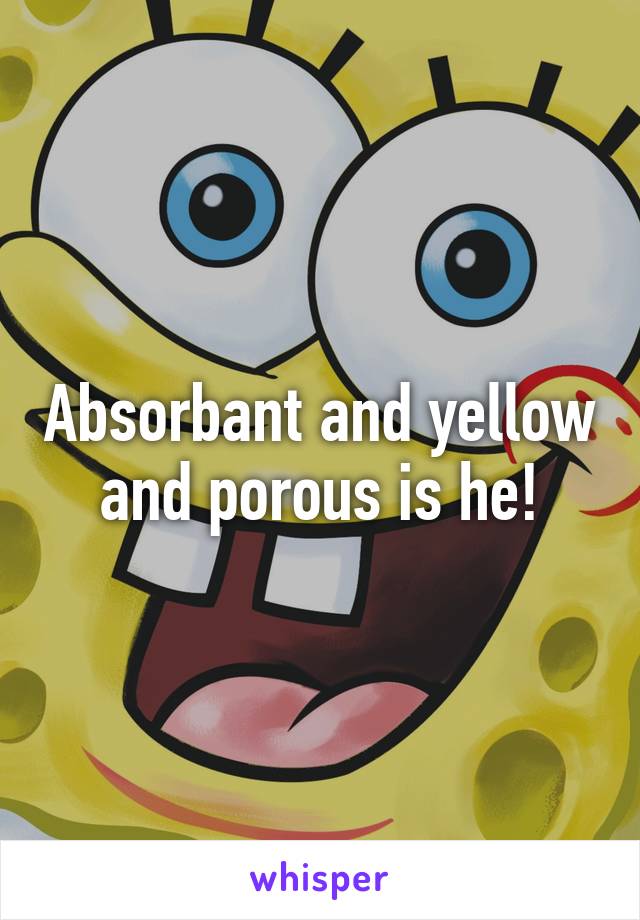 Absorbant and yellow and porous is he!