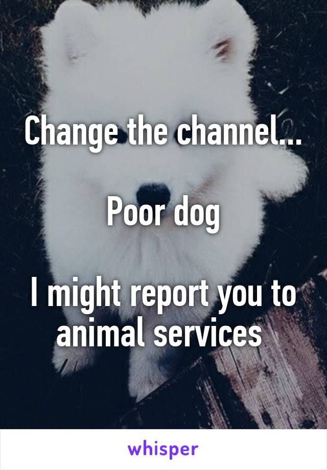 Change the channel...

Poor dog

I might report you to animal services 