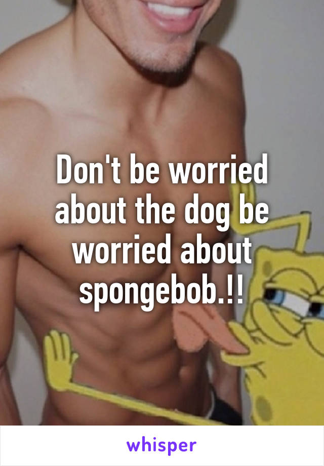 Don't be worried about the dog be worried about spongebob.!!